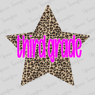 Cheetah Star Third Grade