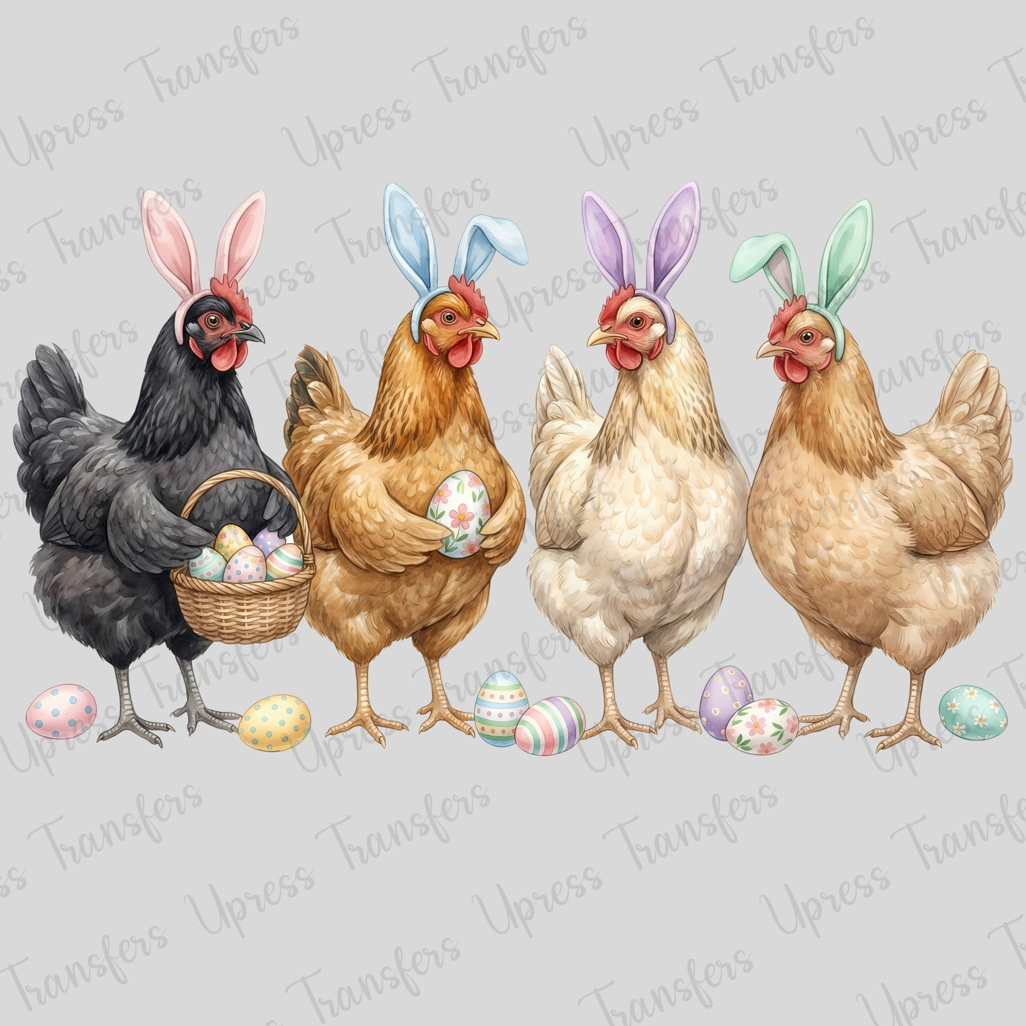 Chicken Egg