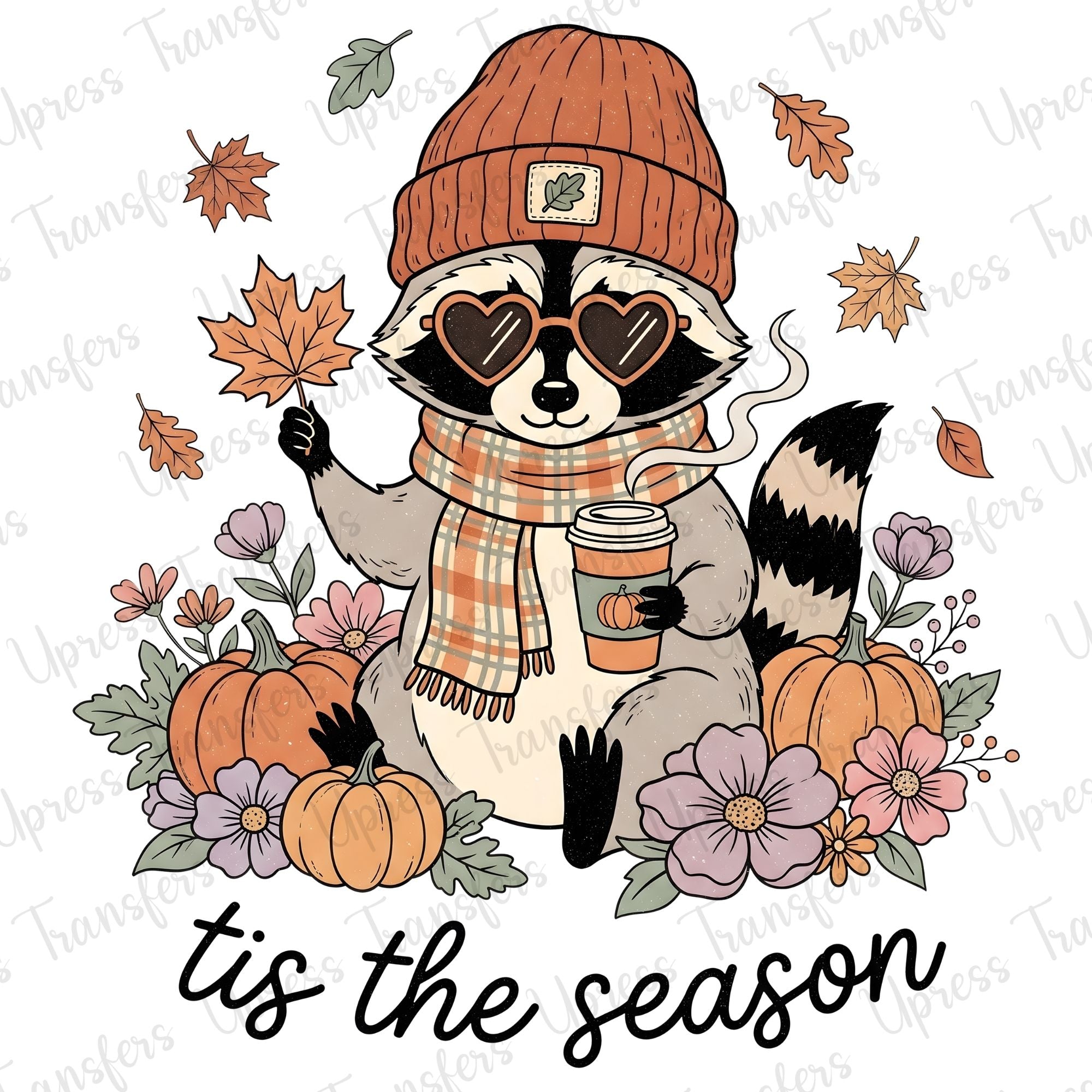 Chillin Raccoon Season