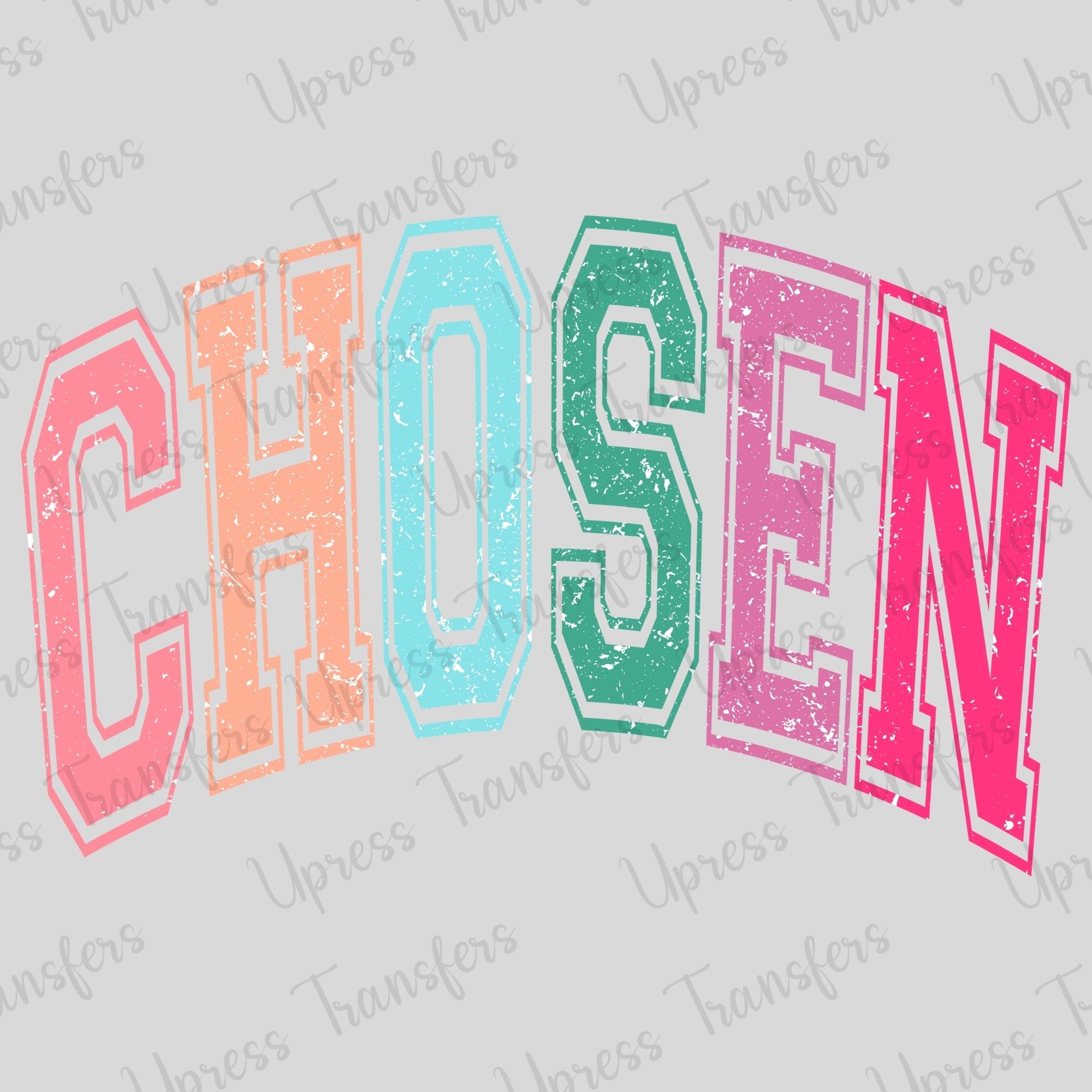 Chosen Varsity Multicolored
