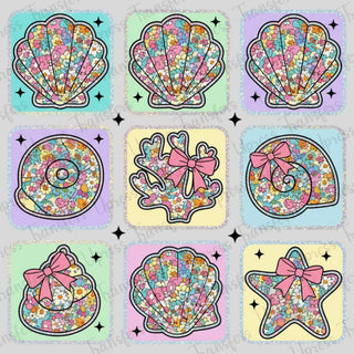 Colorful Shells