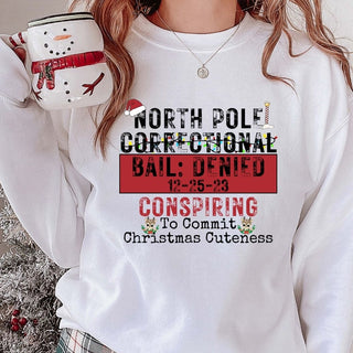 North Pole Correctional Cuteness