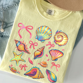 Coquette Shells
