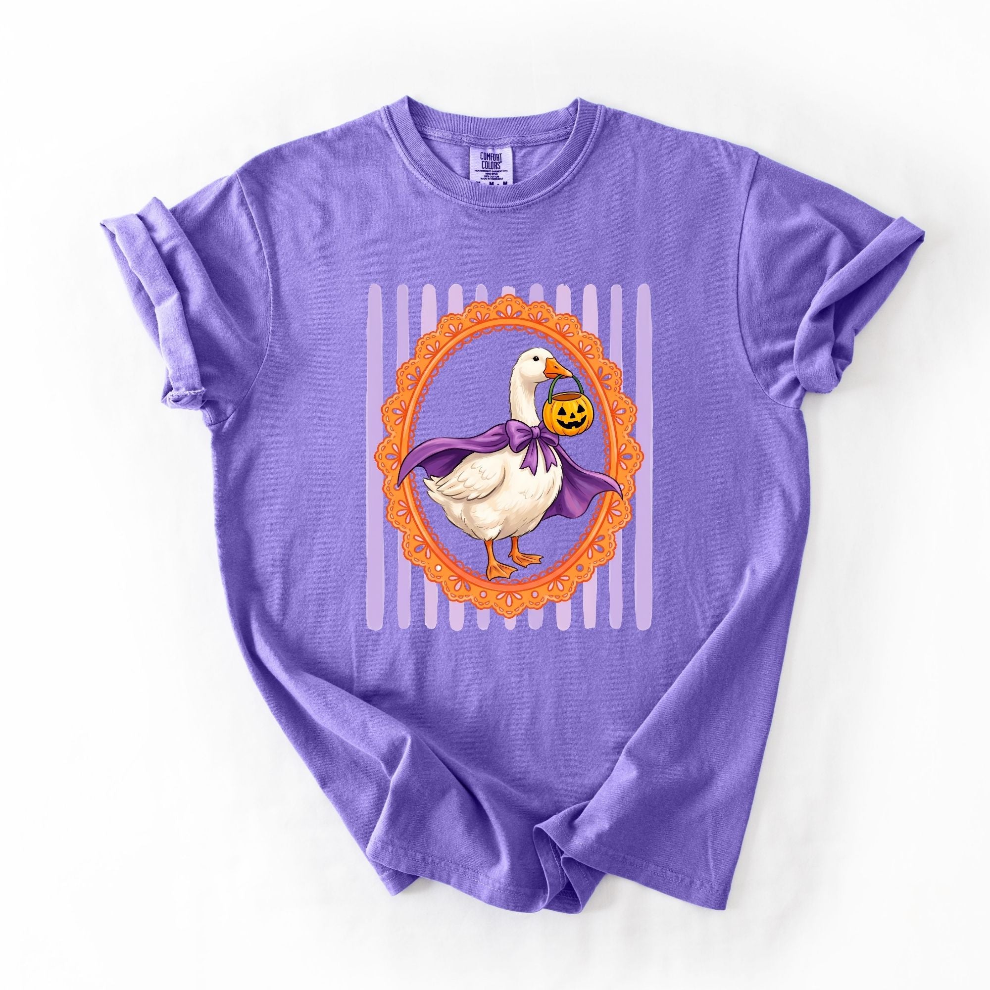 Cute Halloween Framed Goose
