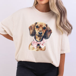 Dachshund Cutesy