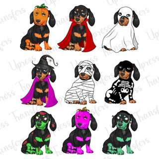 Dachshund Halloween