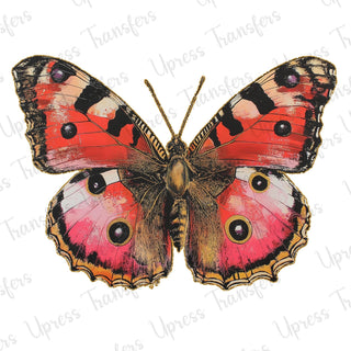 Detailed Butterfly