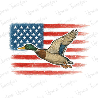 Distressed Flag and Mallard