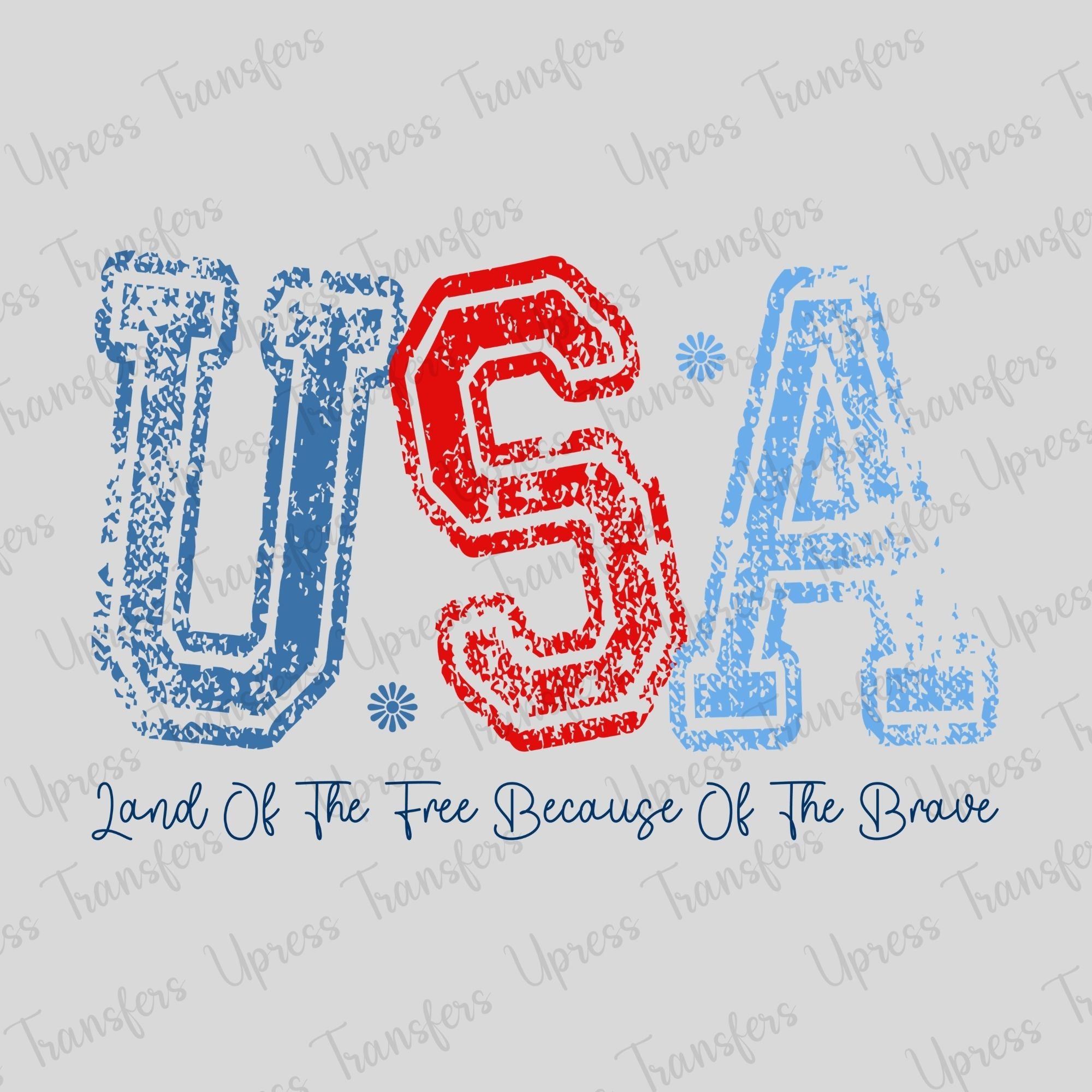 Distressed USA Brave