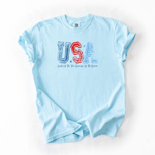 Distressed USA Brave
