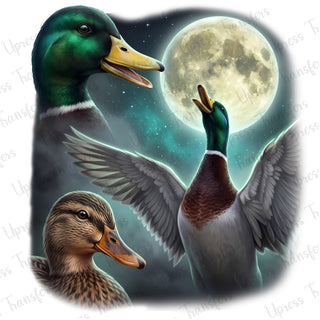 Duck Quacking At The Moon
