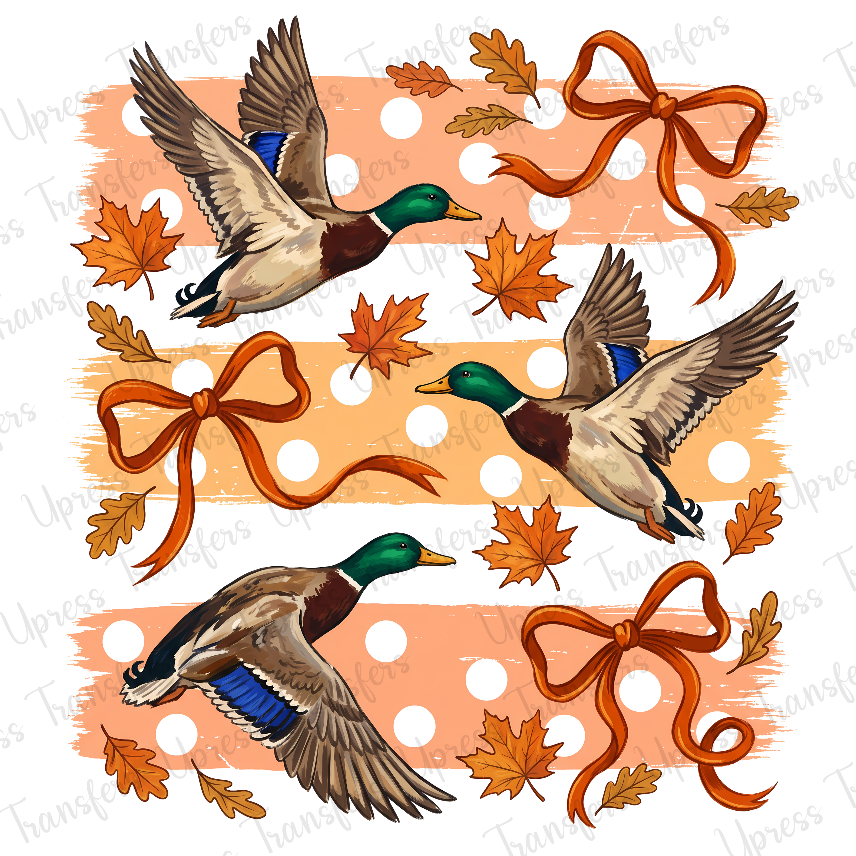 Ducks And Bows