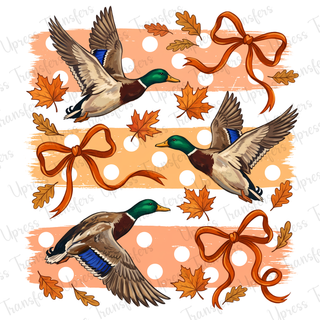 Ducks And Bows