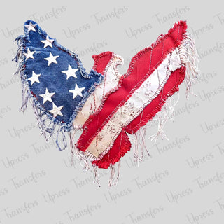 Eagle Flag Frayed