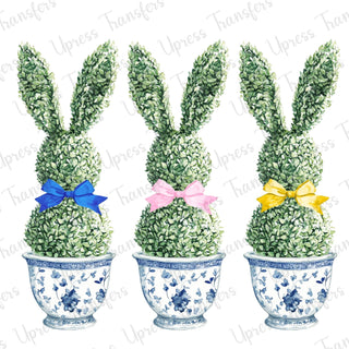 Easter Bunny Plants