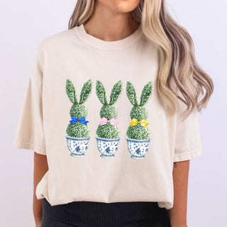 Easter Bunny Plants