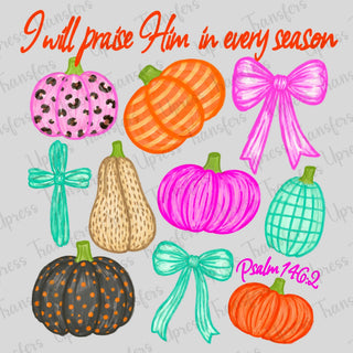 Every Season Pumpkins and Bows