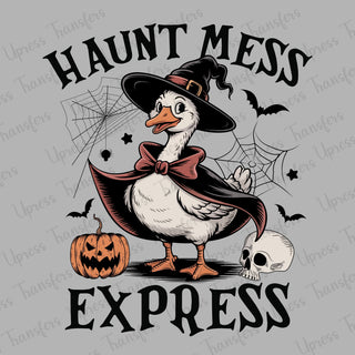 Express Webs