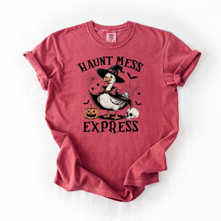 Express Webs