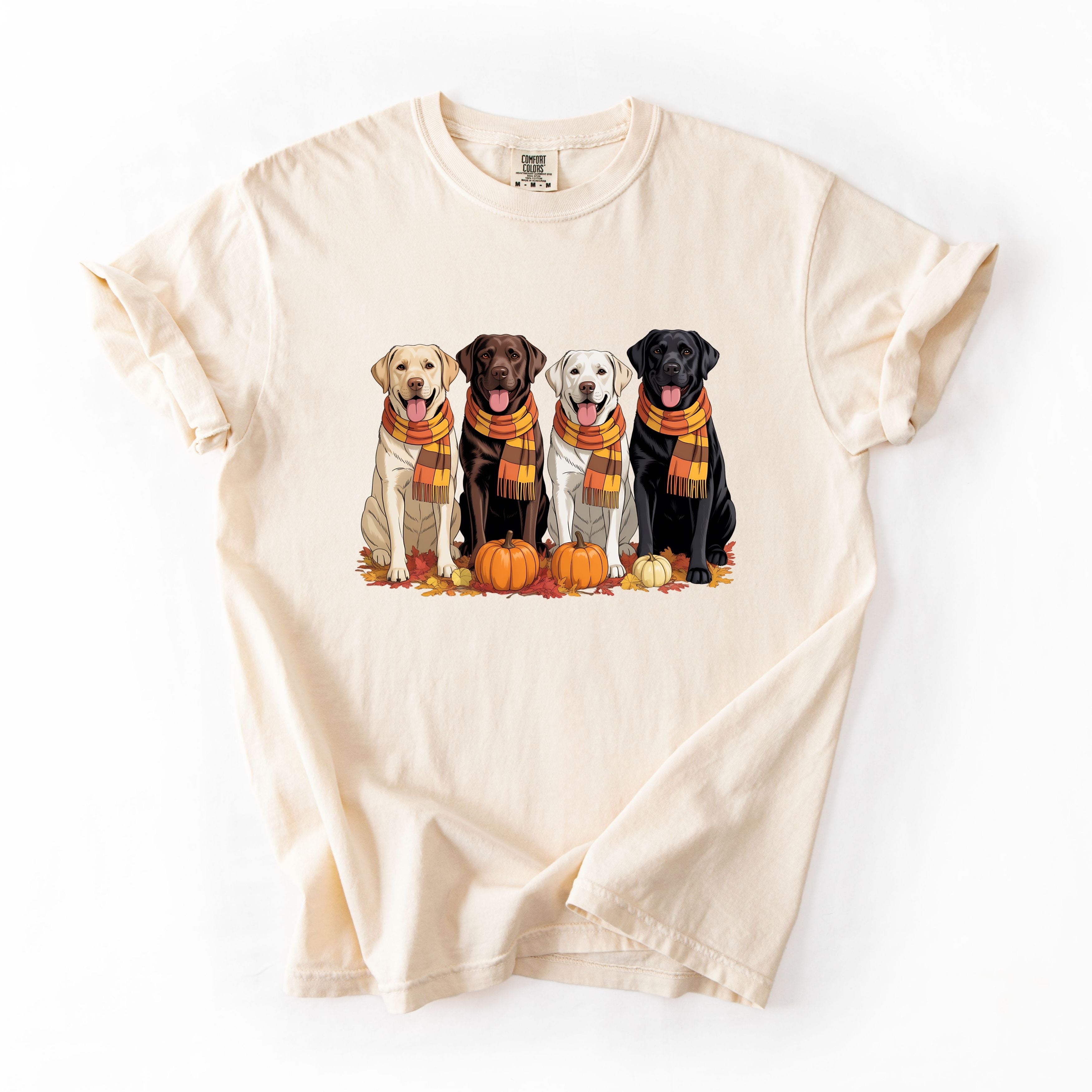 Fall For Labs