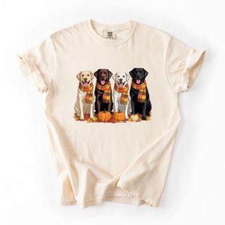 Fall For Labs