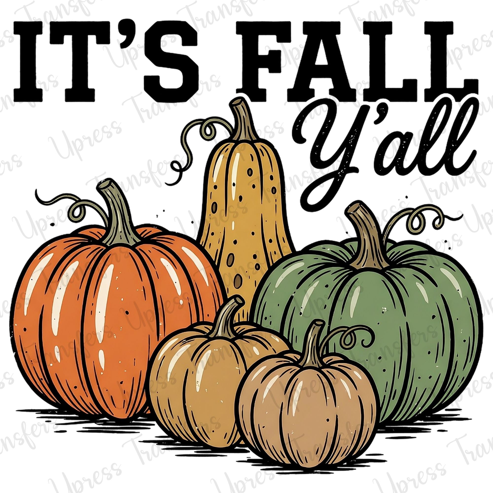 Fall Yall Pumpkins x5