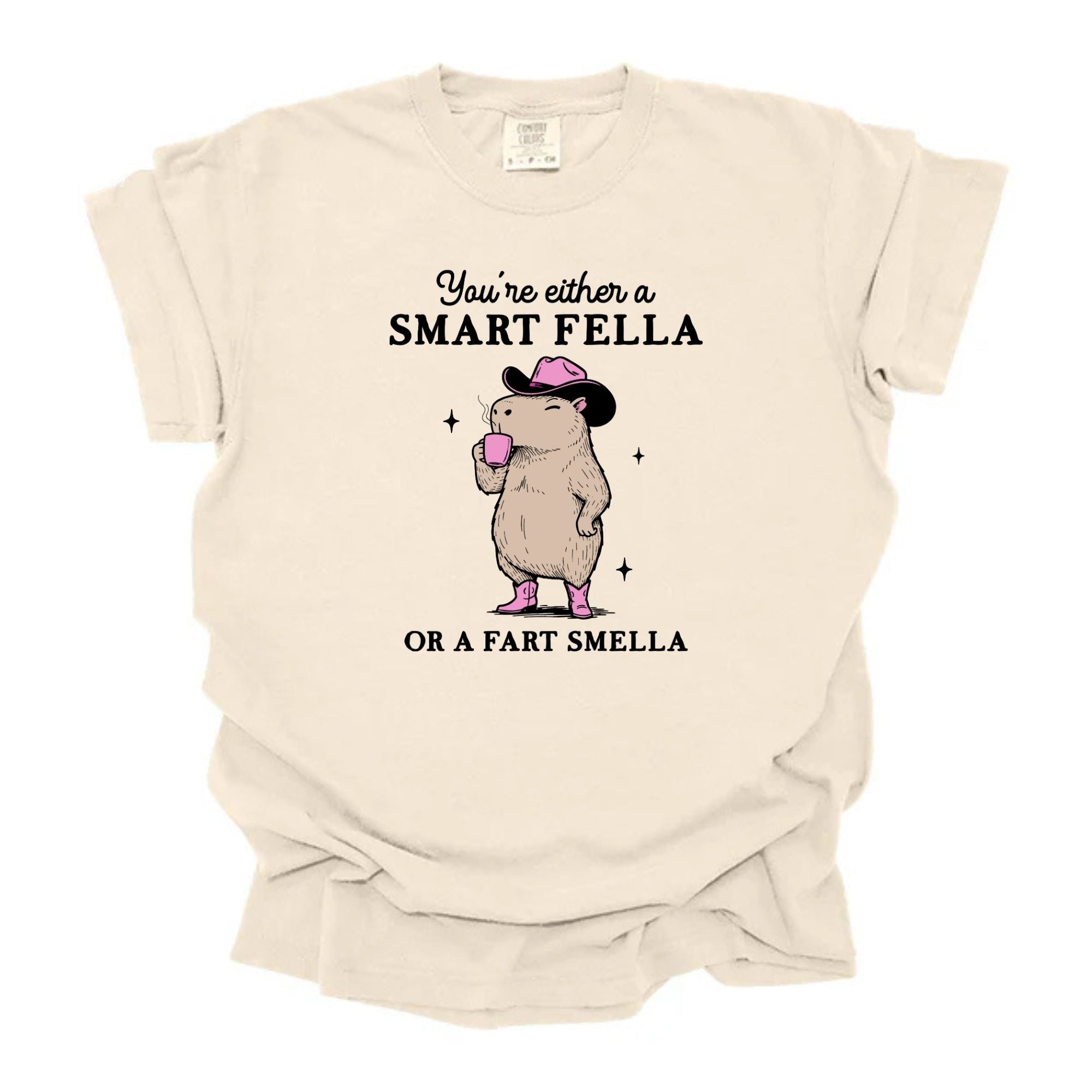 Fart Smella Funny