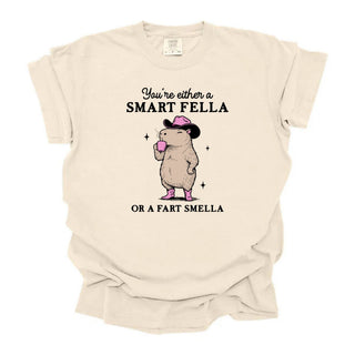 Fart Smella Funny
