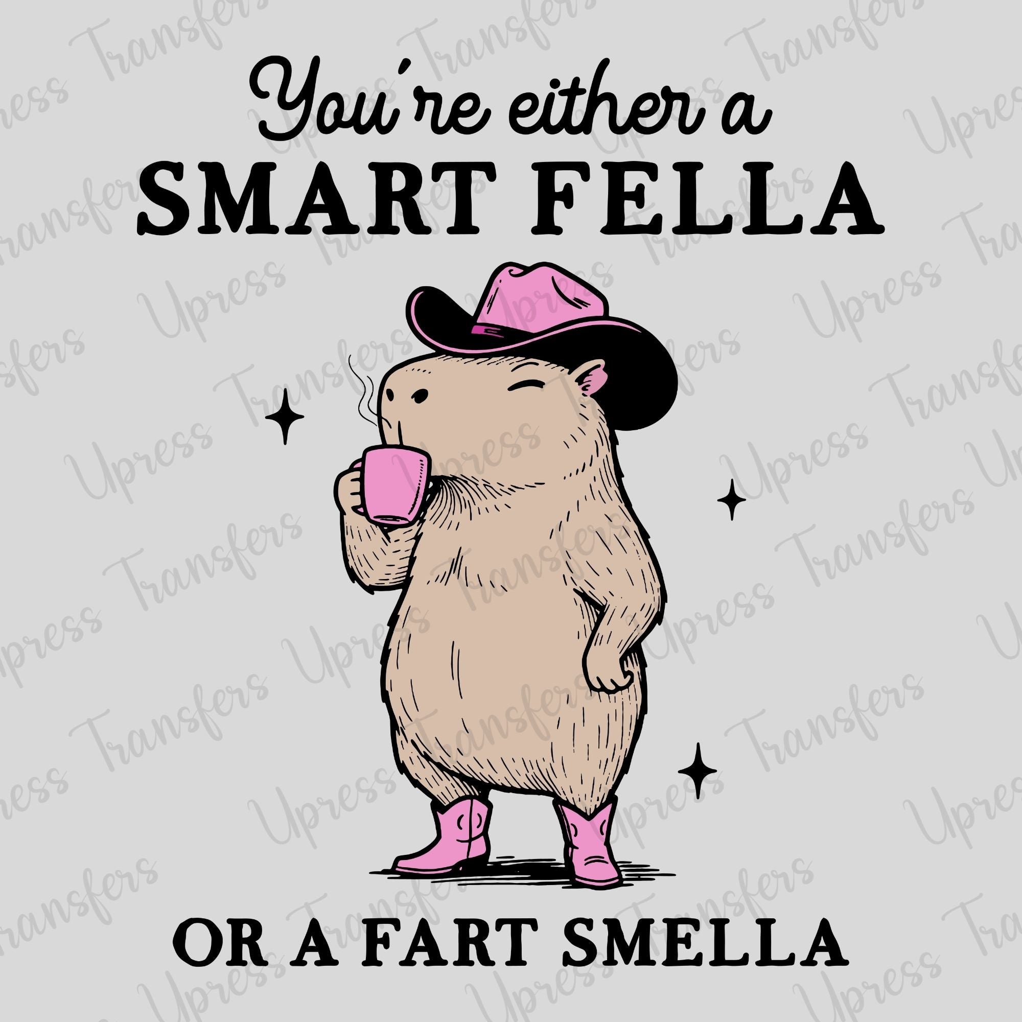 Fart Smella Funny