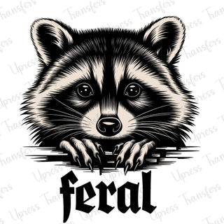 Feral Raccoon Face