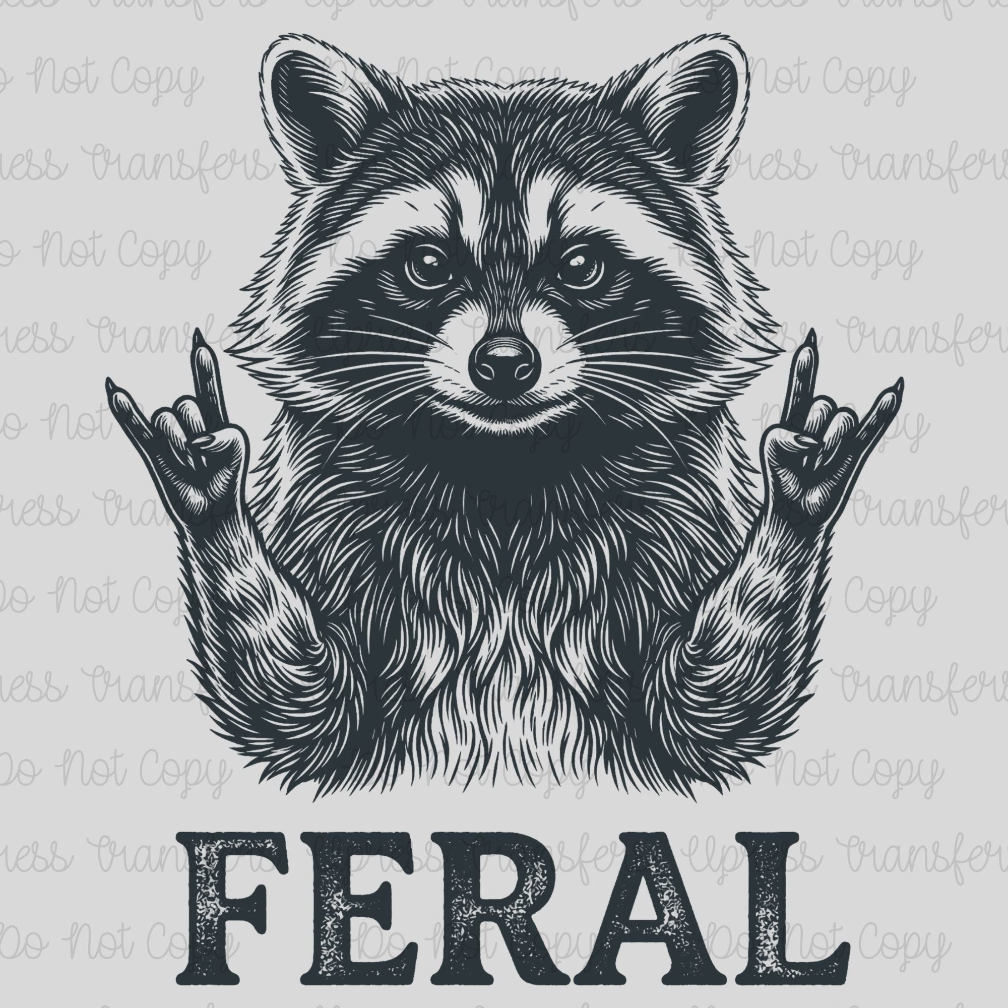 Feral Rockin Raccoon