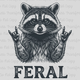 Feral Rockin Raccoon