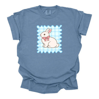 Framed Bunny Blue