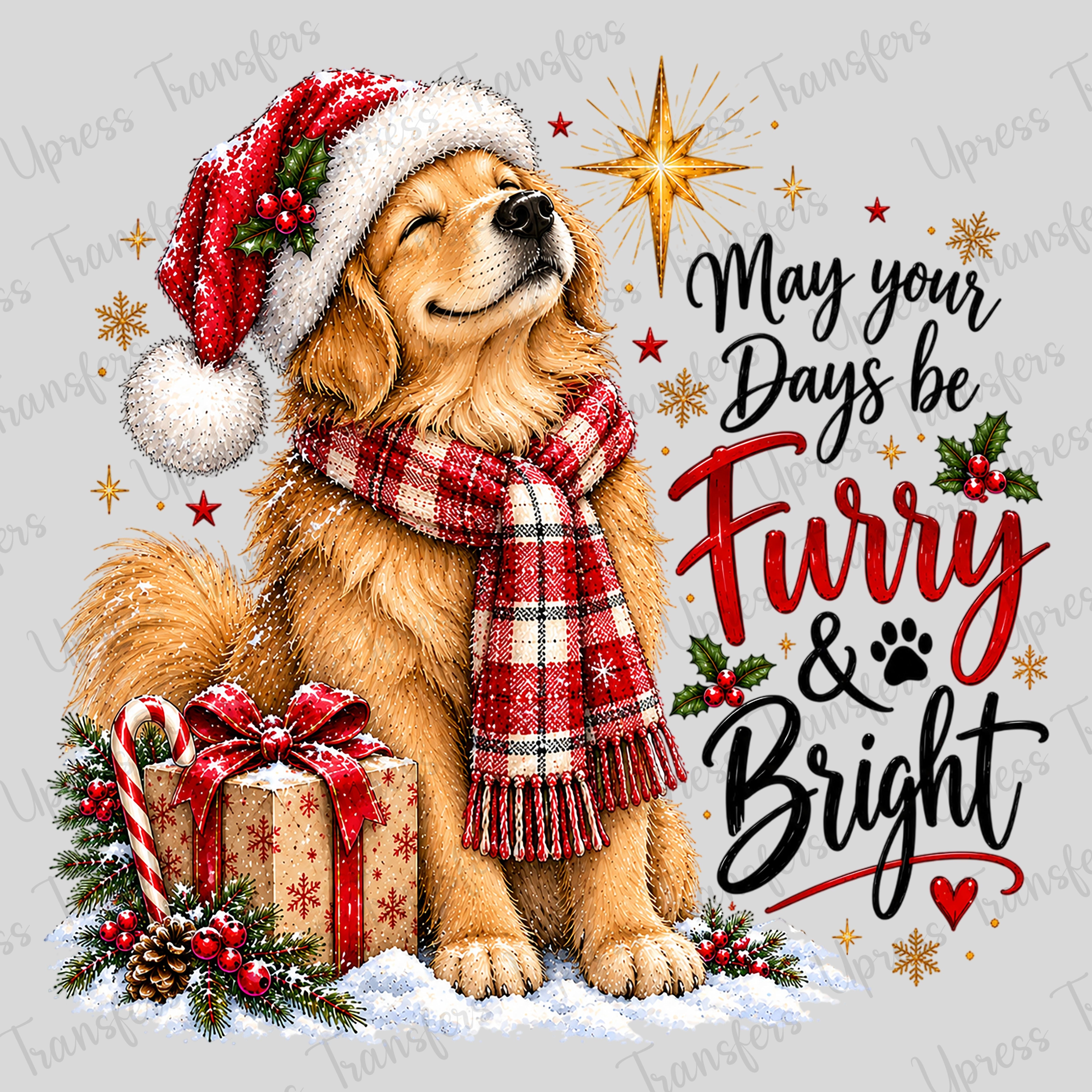 Furry And Bright Puppy
