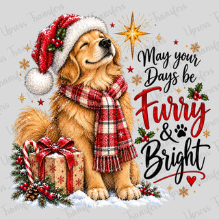 Furry And Bright Puppy