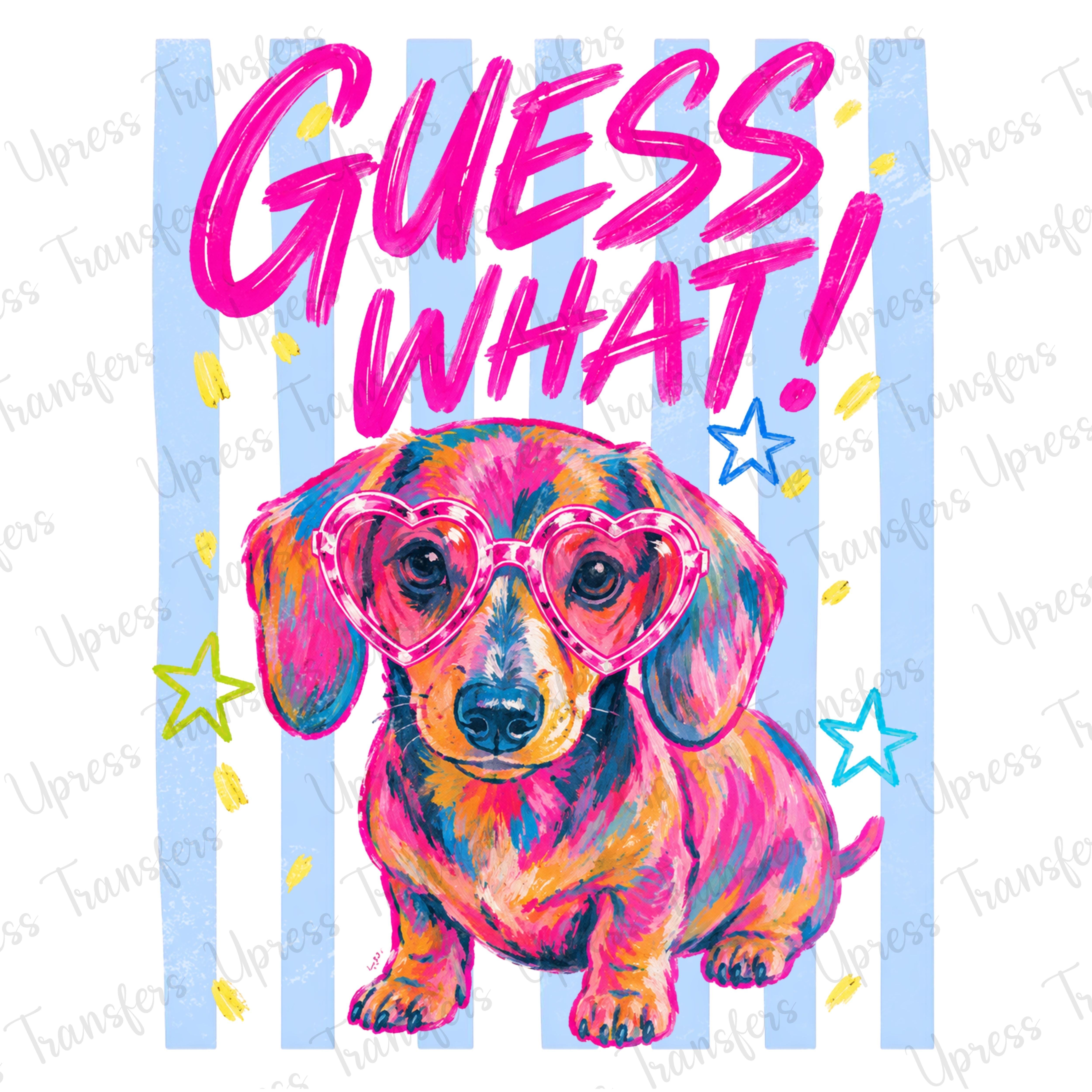 Guess What Wiener Dog