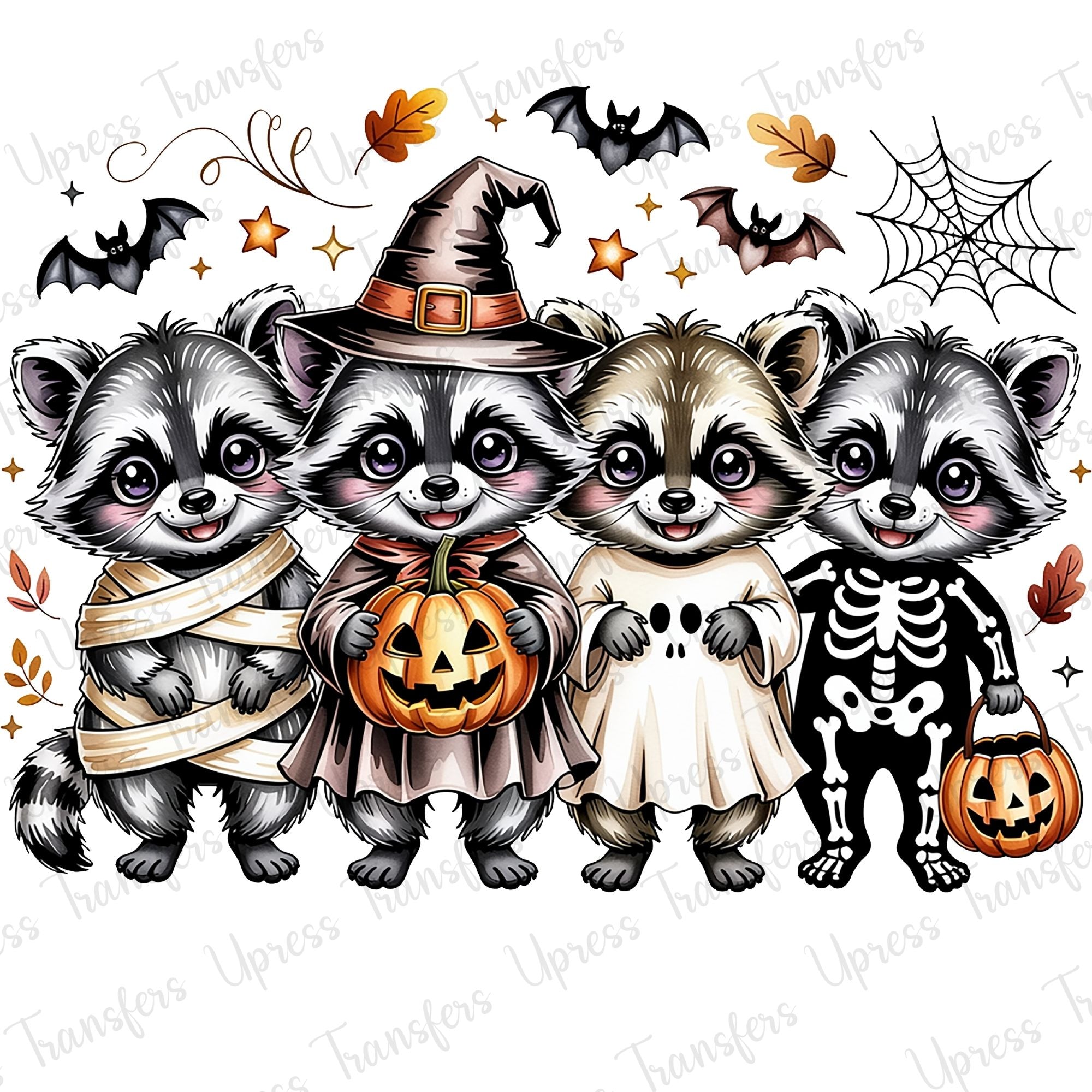 Halloween Racoon Dressup