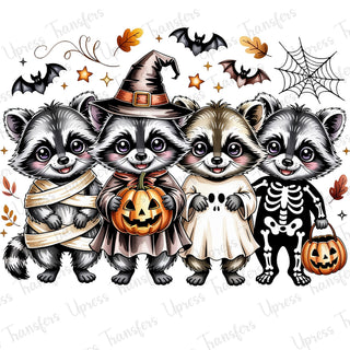 Halloween Racoon Dressup