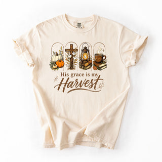Harvest In The Lord