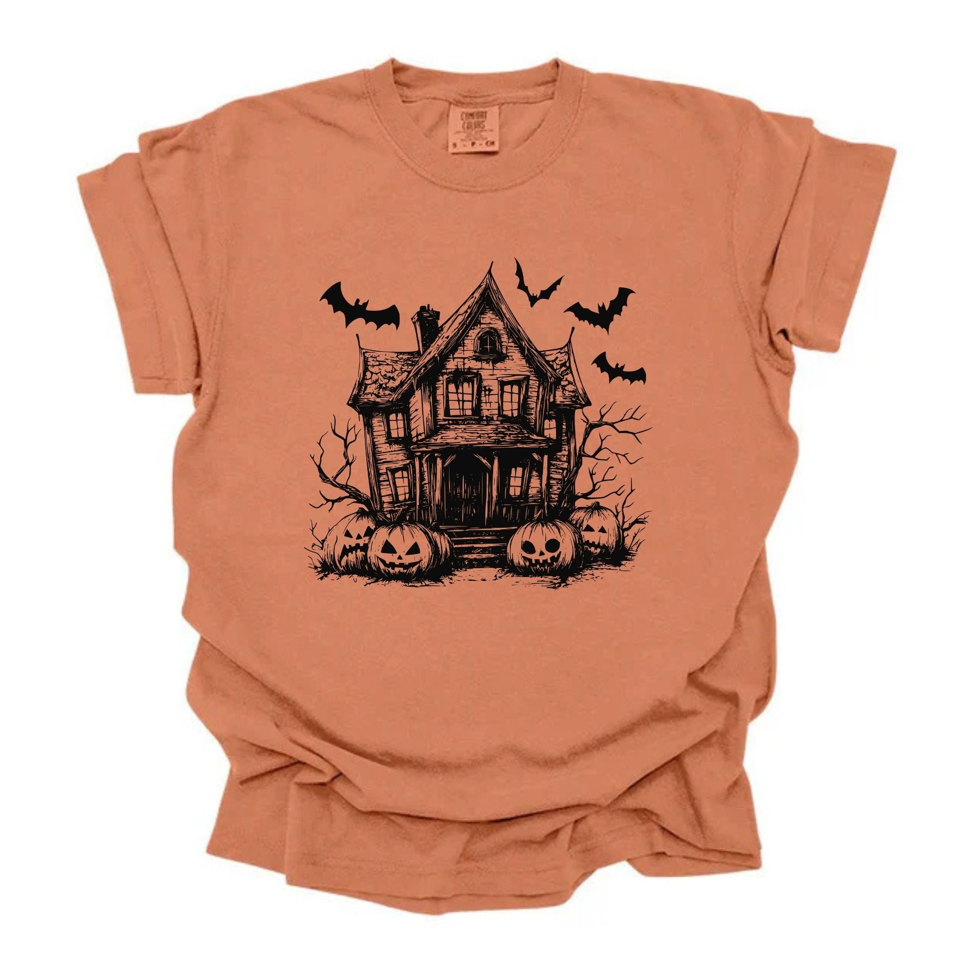 Haunted House Old Black