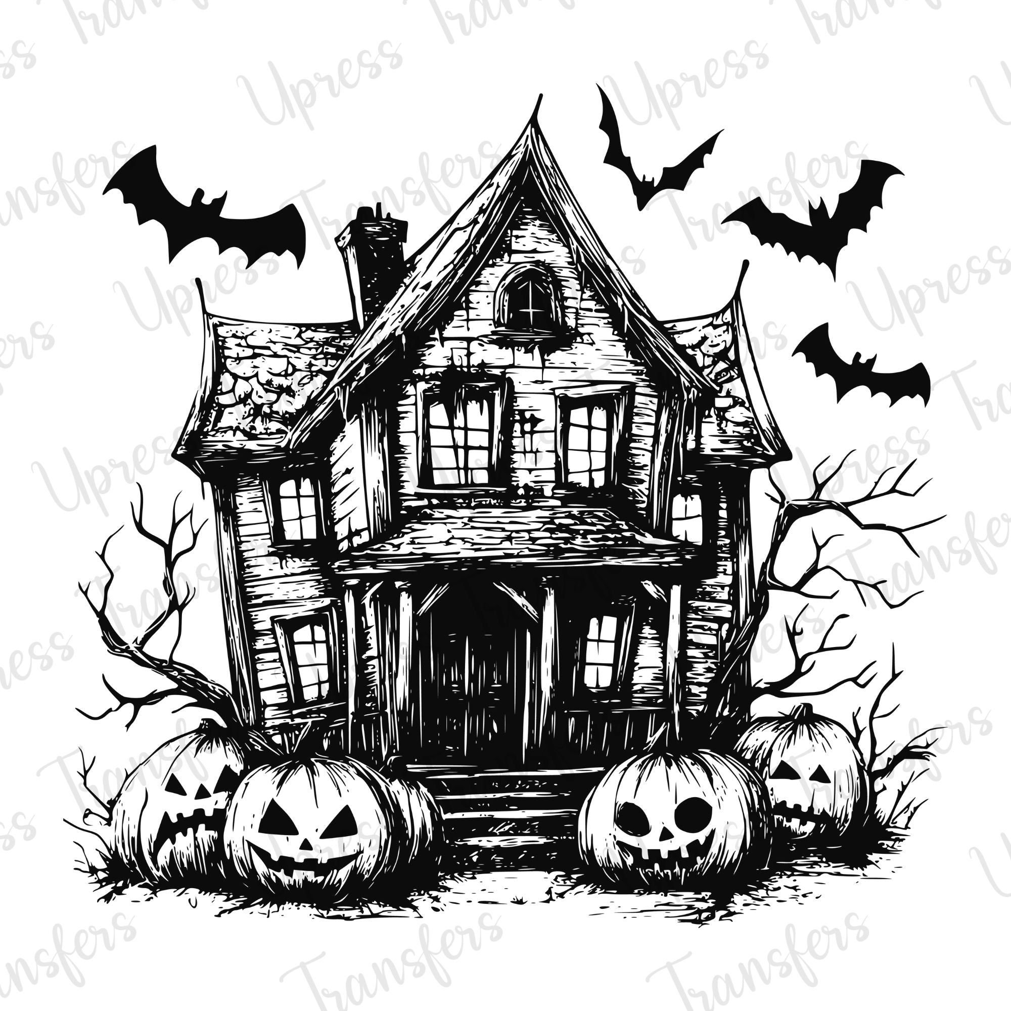 Haunted House Old Black