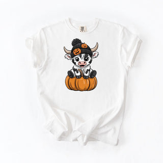 Highland Pumpkin Cow