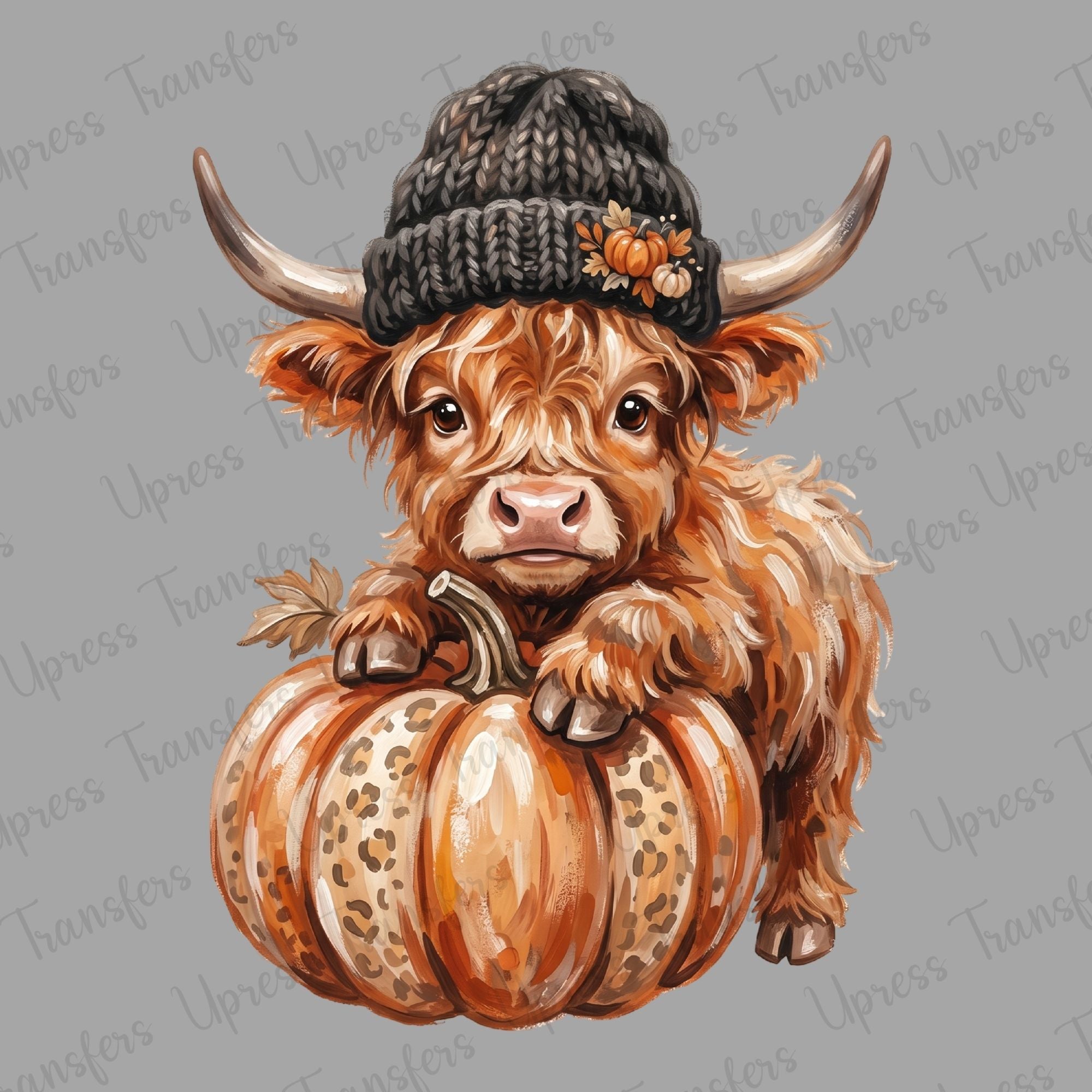 Highland Sitting Against Pumpkin