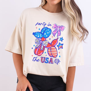 In The USA Drawing