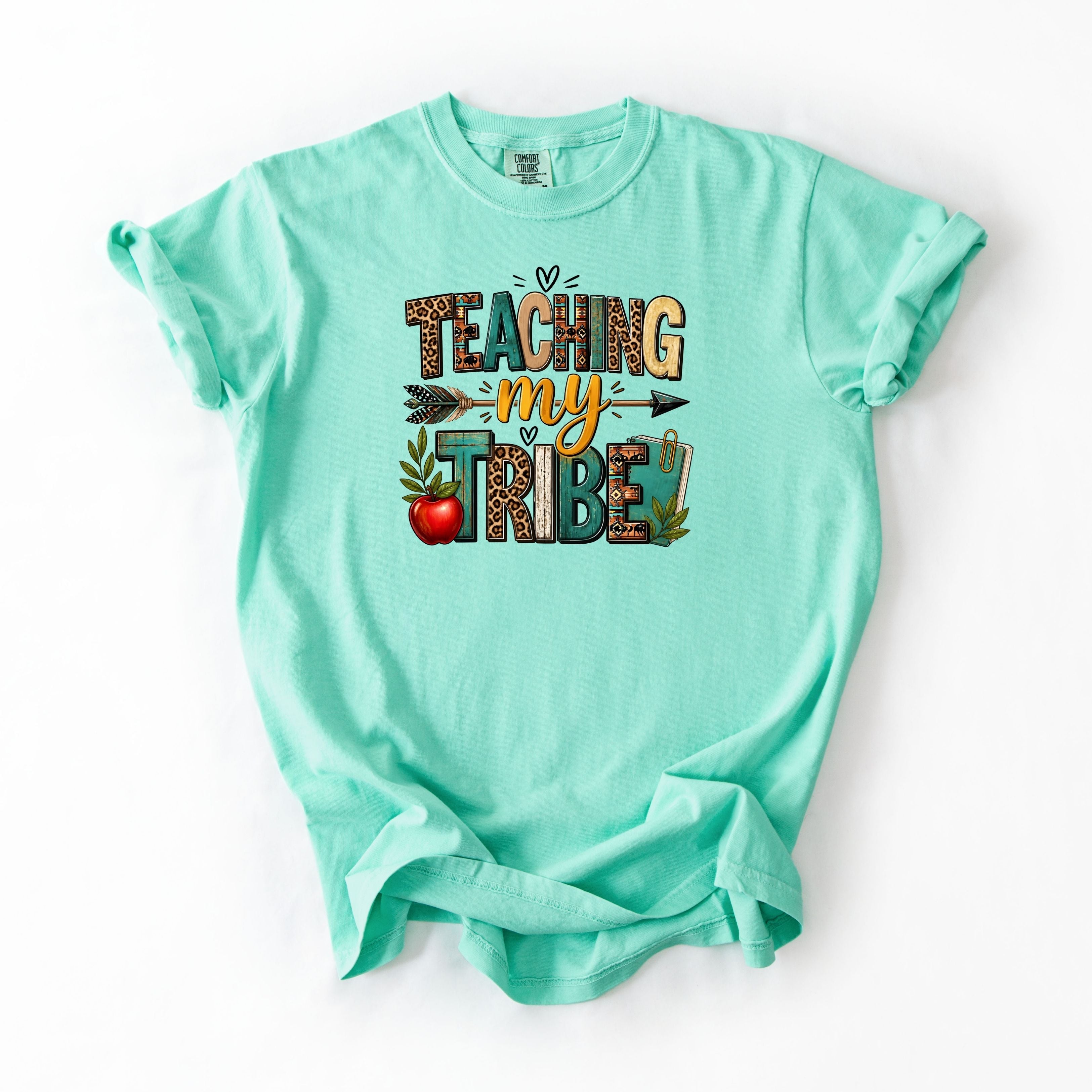 Indian Tribe Teacher