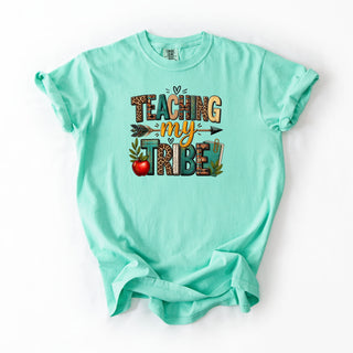 Indian Tribe Teacher