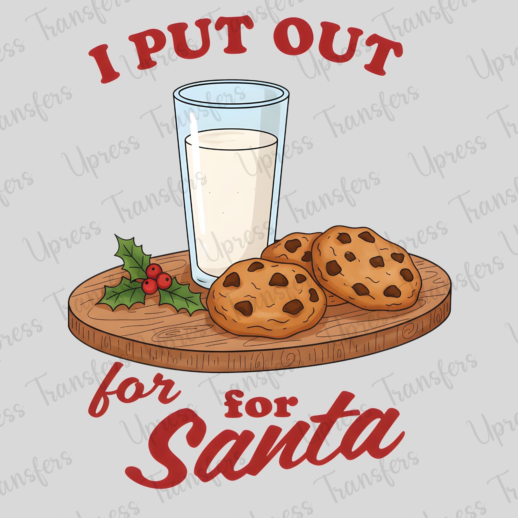 I put Out For Santa Cookies