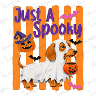 Just A spooky Cute Dog