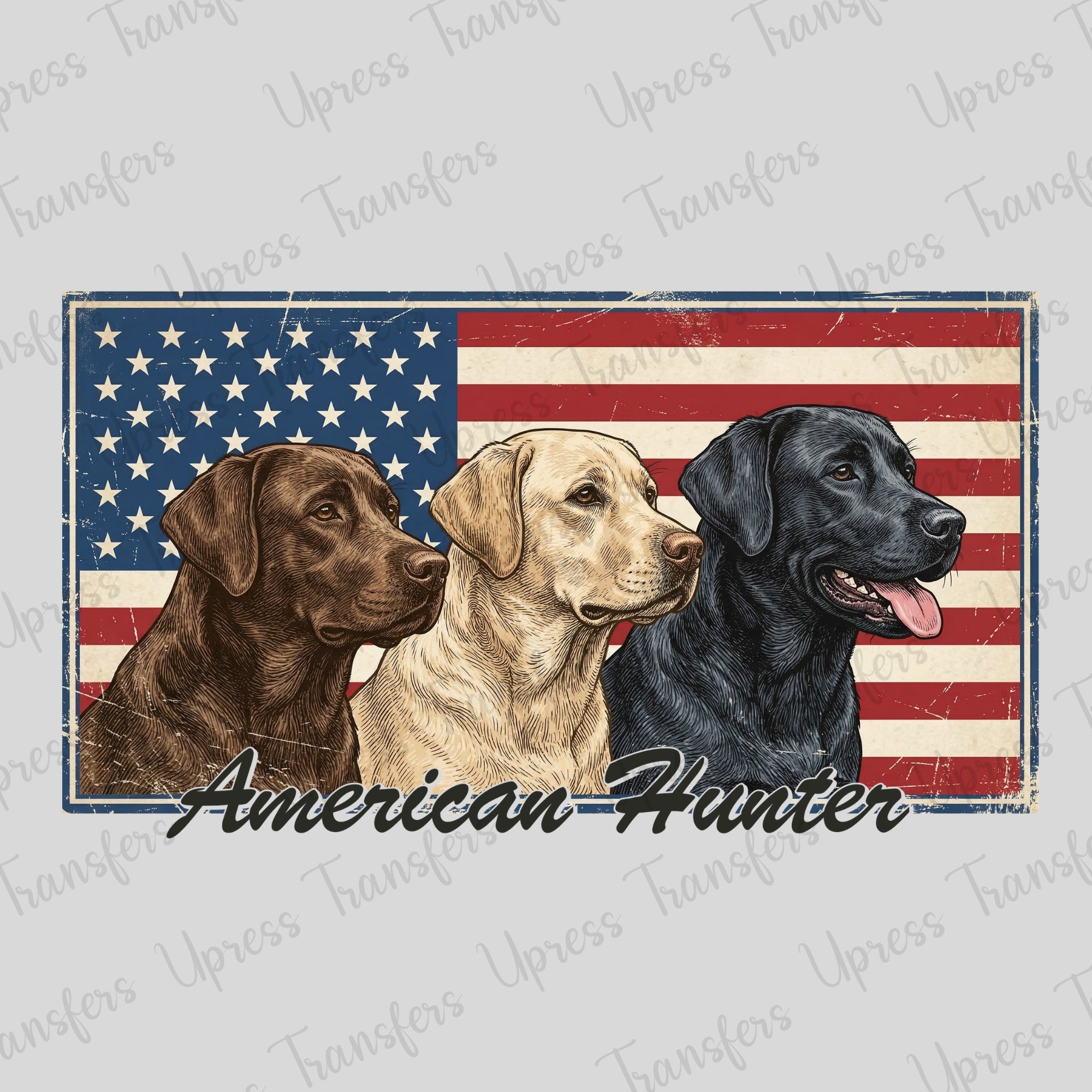 Lab American Hunter