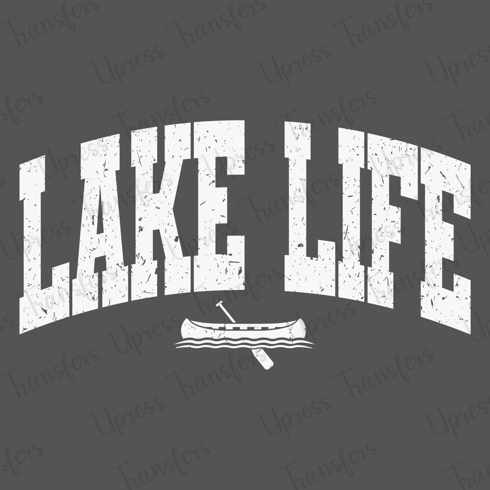 Lake Life Boat Distressed